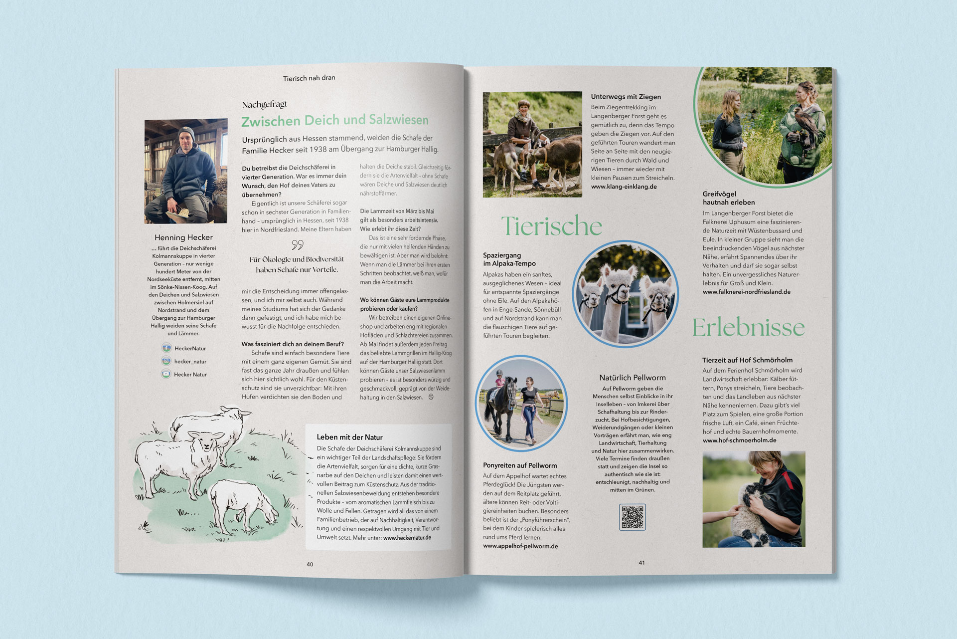 Eine Doppelseite über die Schafhaltung und tierische Erlebnisse in Nordfriesland.